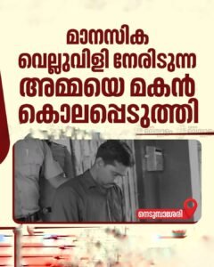 നെടുമ്പാശേരിയിൽ മാനസിക വെല്ലുവിളി നേരിടുന്ന അമ്മയെ മകൻ കൊലപ്പെടുത്തി