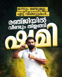 എട്ടുപേരുടെ തലയരിഞ്ഞു; ഫൈനൽ മോഹിച്ചവർക്ക് ഷമിയുടെ പ്രഹരം