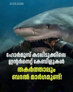 ഹോർമൂസ്: ഇന്റർനെറ്റ് സുരക്ഷയും ഡൈനാമിക് റൂട്ടിങ്ങും