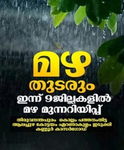 കേരളത്തിൽ രണ്ട് ദിവസം കൂടി ശക്തമായ മഴ തുടരും; 9 ജില്ലകളിൽ യെല്ലോ അലേർട്ട്