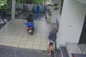 ചെരിപ്പും മോഷ്ടിച്ച് റംബുട്ടാനും പറിച്ച് കള്ളൻ; താമരശ്ശേരിയിൽ വിചിത്ര മോഷണം