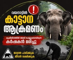 വയനാട്ടിൽ കാട്ടാന ആക്രമണം: കൃഷിയിടത്തിൽ ജോലി ചെയ്യുകയായിരുന്ന കർഷകൻ മരിച്ചു